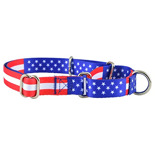 Martingale Halsband für Hunde, Rutschfestes Welpentraining für Jungen oder Mädchen, kleine oder große Hunde, niedliche Blume, rosa, amerikanische Flagge Muster (klein, amerikanische Flagge) von Native Pup