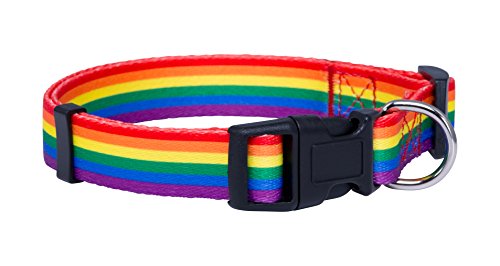 Native Pup Hundehalsband, Regenbogen-Flagge, Gay Pride Stuff für Parade, LGBTQ Flaggen, Equality Pet Apparel Decor Geschenk und LGBT Ally Zubehör (klein) von Native Pup