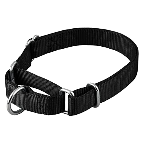 Native Pup Martingale Hundehalsband, verstellbar für kleine, mittelgroße und große Haustiere und Welpen, niedliche Farben für Männer, Frauen, Jungen, Mädchen, Welpen (S, Schwarz) von Native Pup