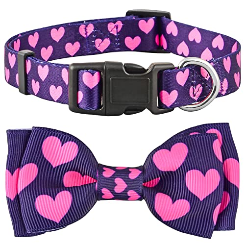 Valentine Hundehalsband mit Fliege Herz Fliege Valentinstag für Große, Mittlere und Kleine Hunde (Große, Valentinstag Rosa Herzen) von Native Pup