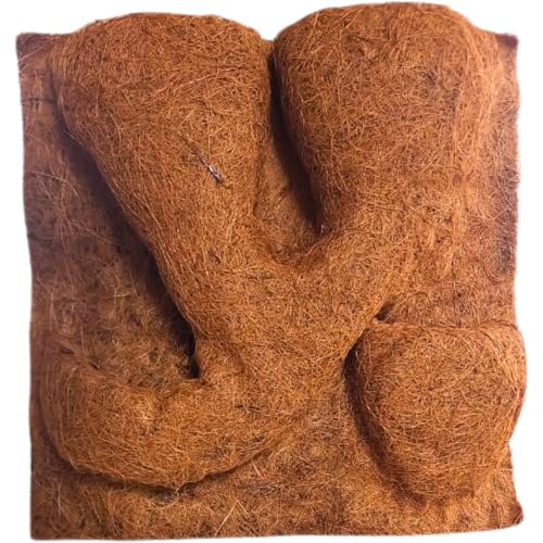 Natunae - Kokosfasern Rückwand für Terrarium, Natürliche Kokos Dekoration für Reptilien mit Pflanztaschen (30 x 30 x 1 cm) von Natunae