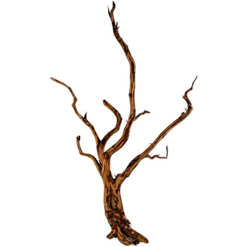 Natunae - Holz Red Spider King Wood, Moorkienwurzel Deko für Aquarium, Zierstamm, Dekoration für Terrarien S 20-30 cm von Natunae