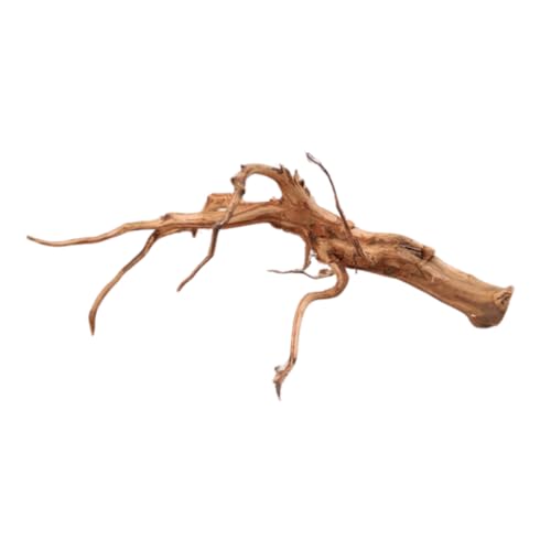 Natunae - Holz Red Spider King Wood, Moorkienwurzel Deko für Aquarium, Zierstamm, Dekoration für Terrarien XS <20 cm Natunae - Holz Red Spider King Wood, Moorkienwurzel Deko für Aquarium, Zierstamm, Dekoration für Terrarien XS <20 cm von Natunae