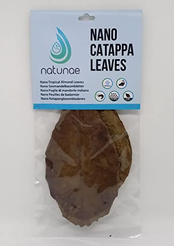 Natunae - Nano Seemandelbaumblätter für kleine Süßwasser Aquarien 12 stück - Catappa Leaves Für Aquarium Fische Betta, Garnelen, Welse Natunae - Nano Seemandelbaumblätter für kleine Süßwasser Aquarien 12 stück - Catappa Leaves Für Aquarium Fische Betta, Garnelen, Welse von Natunae