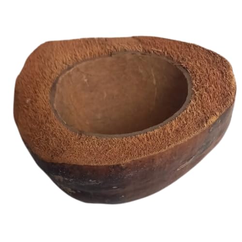 Natunae - Natürliche Kokosnuss Schale Terrarium und Aquarium, Kokosschale halbiert Natunae - Natürliche Kokosnuss Schale Terrarium und Aquarium, Kokosschale halbiert von Natunae
