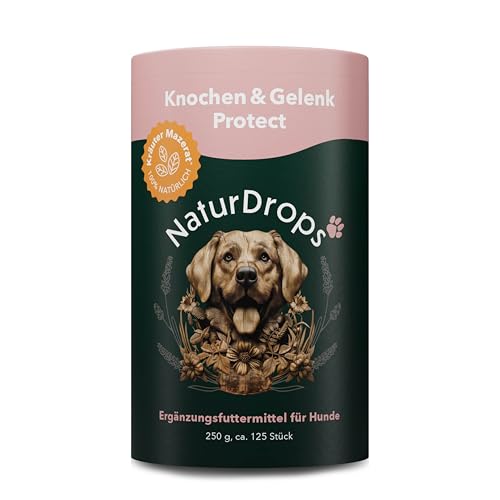 NaturDrops Knochen & Gelenk Protect Hundesnacks mit Funktion, 125 Stück, für den Bewegungsapparat, 100% natürlich - 250 g NaturDrops Knochen & Gelenk Protect Hundesnacks mit Funktion, 125 Stück, für den Bewegungsapparat, 100% natürlich - 250 g von NaturDrops