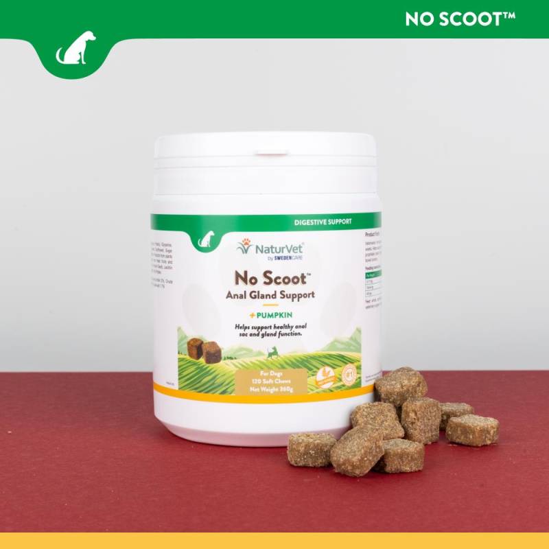 NaturVet No Scoot - 120 Kauwürfel von NaturVet