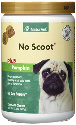 NaturVet No Scoot Plus Pumpkin Soft Chew Support Healthy Bowels for Dogs 120 ct von NaturVet