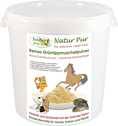 Grünlippmuschelpulver Katze gut für Knochen Gelenke Sehnen Haut Fell Natur pur Top Qualität Natura Pro Vita 100% reines Grünlippmuschelpulver Glycosaminoglycane (Gag) hohe Bioverfügbarkeit 1kg Eimer von Natura Pro Vita