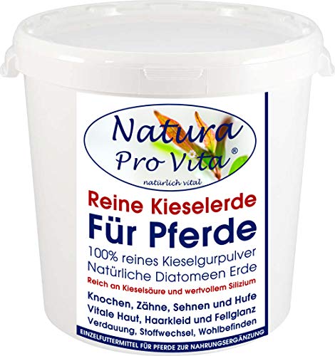 Natura Pro Vita Kieselerde Pferd natürliche Siliziumkur Kieselsäure - reines Kieselerdepulver Futterzusatz Haut Fellglanz Hufe Knochen Gelenke Sehnen Verdauung Reine Kieselgur 500g Eimer. Natura Pro Vita Kieselerde Pferd natürliche Siliziumkur Kieselsäure - reines Kieselerdepulver Futterzusatz Haut Fellglanz Hufe Knochen Gelenke Sehnen Verdauung Reine Kieselgur 500g Eimer. von Natura Pro Vita