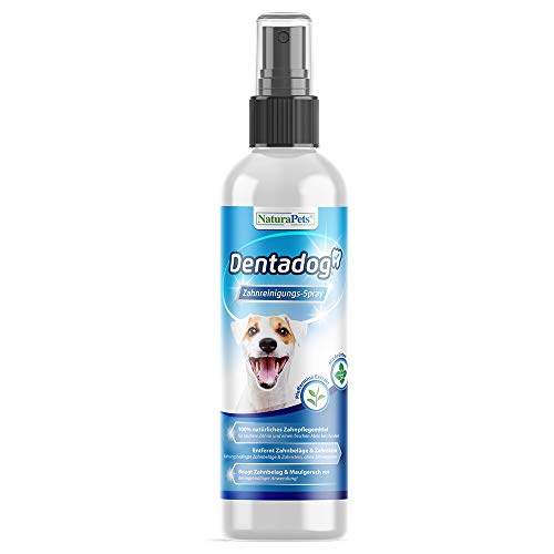 NaturaPets Dentadog® Zahnpflege-Spray für Hunde Dentalspray für Hunde zur Zahnreinigung und Zahnpflege I Zahnsteinentferner I Zahnpflege Hunde für frischen Atem (1 x 130ml) dental Dog zahnpflegespray von NaturaPets