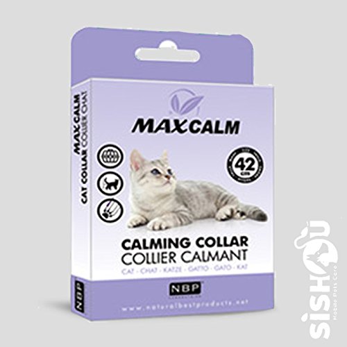Natural Best Products Maxcalm Katzenhalsband, 42 cm von Natural Best Products