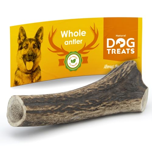 Natural Dog Treats - Hunde Hirschgeweih - Natürlich Hirschgeweih für Hunde groß - Kauknochen Hund - Kaustangen Hund - Kauspielzeug und Zahnpflege - Hundespielzeug - Große (101-150gr) von Natural Dog Treats