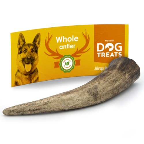 Natural Dog Treats - Hunde Hirschgeweih - Natürlich Hirschgeweih für Hunde - Kauknochen Hund - Kaustangen Hund - Kauspielzeug und Zahnpflege - Hundespielzeug - Kleine Größe (50-75g) von Natural Dog Treats