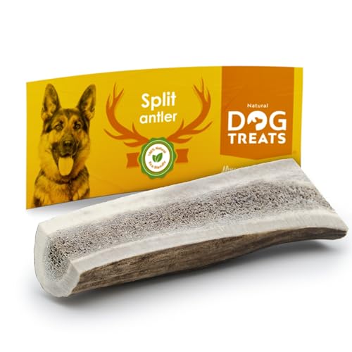 Natural Dog Treats - Hirschgeweih Hund - Natürlich Geweih für Hunde - Kauknochen Hunde - Kaustangen Hund - Kauspielzeug und Zahnpflege - Mittlere Größe - Hundespielzeug von Natural Dog Treats