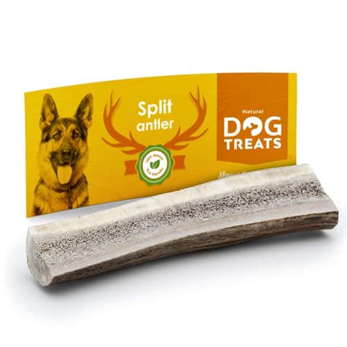 Natural Dog Treats - Hirschgeweih Hund - Natürlich Geweih für Hunde - Kauknochen Hunde - Kaustangen Hund - Kauspielzeug und Zahnpflege - Kleine Größe - Hundespielzeug von Natural Dog Treats