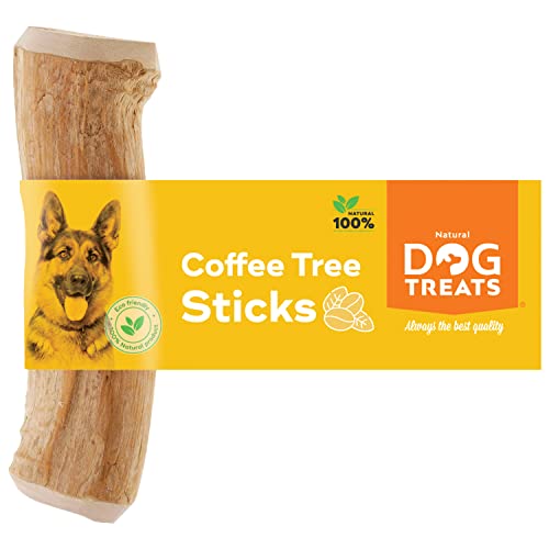 Natural Dog Treats - Natürlicher Kauknochen aus Kaffeeholz für Hunde und Welpen - Natürliches Kauholz für Hunde - Kaustab Kauholz für Hunde - Spannendes Kauspielzeug für Hunde aus Kaffeeholz - M - 1U von Natural Dog Treats