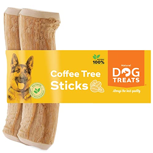 Natural Dog Treats - Natürlicher Kauknochen aus Kaffeeholz für Hunde und Welpen - Natürliches Kauholz für Hunde - Kaustab Kauholz für Hunde - Spannendes Kauspielzeug für Hunde aus Kaffeeholz - M - 2U von Natural Dog Treats