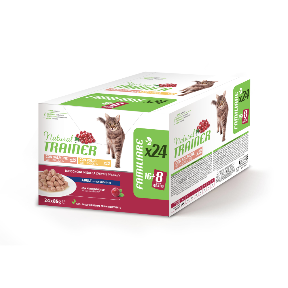 60 + 12 gratis! 72 x 85 g Natural Trainer Adult - Huhn & Lachs von Natural Trainer
