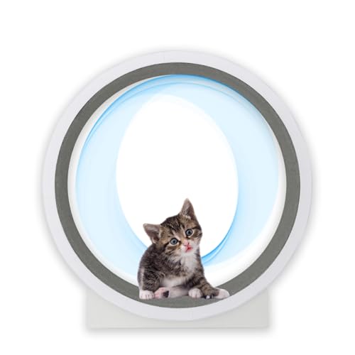 Katzen-Laufrad für Hauskatzen, 47-Zoll-Katzen-Laufband mit Teppichlaufbahn, Laufen/Gehen/Training für Katzen für Fitness und Gesundheit, geeignet für die meisten Katzen Katzen-Laufrad für Hauskatzen, 47-Zoll-Katzen-Laufband mit Teppichlaufbahn, Laufen/Gehen/Training für Katzen für Fitness und Gesundheit, geeignet für die meisten Katzen von Naturalpowev