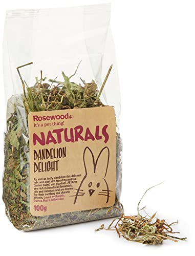 Rosewood Pet 1 Pouch Dandelion Delight Food for Small Animals, 100g by Rosewood Pet von Rosewood