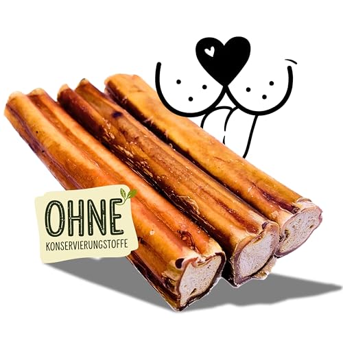 Naturbiss Ochsenziemer für Hunde 15 cm – 3 Stück, 100% natürlich luftgetrocknet, Harter Kausnack, lecker Knabberspaß für Hunde jeder Größe - ohne künstliche Zusätze Naturbiss Ochsenziemer für Hunde 15 cm – 3 Stück, 100% natürlich luftgetrocknet, Harter Kausnack, lecker Knabberspaß für Hunde jeder Größe - ohne künstliche Zusätze von Naturbiss