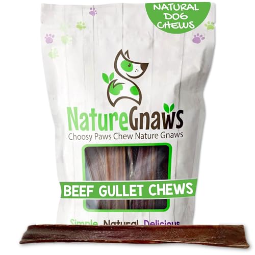 Nature Gnaws Rindfleisch Jerky kaut - All-natürliche Grass-gespeist aus Freilandhaltung Prämie Rindfleisch Hund kaut 9-10"(20 Pack) von Nature Gnaws