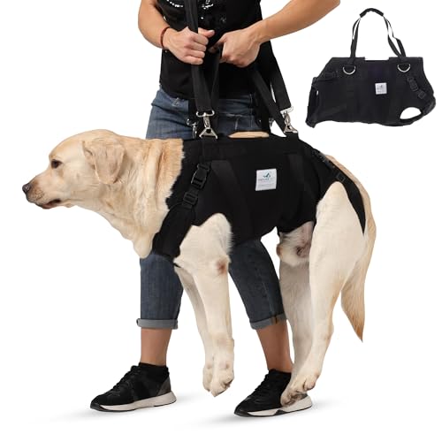 Nature Pet Ganzkörper Tragehilfe für Hunde aus 4 mm starkem Neopren/Durchgehende Tragehilfe mit stark gepolstertem Hebegurt – Ganzkörper-Hebegeschirr für Reha & Mobilität (L) von Nature Pet