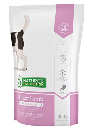 Nature's Protection Dog Junior with Lamb, 1er Pack (1 x 500 g) von Nature's Protection