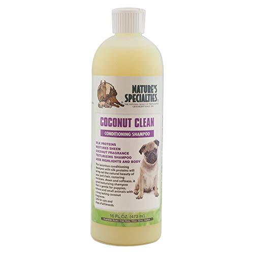 Nature's Specialties Coconut Clean Hundeshampoo - Pflege-Hundeshampoo - Texturgebendes Shampoo mit Pflegestoffen - Seidenproteine Geben dem Fell Feuchtigkeit & Geschmeidigkeit, 473ml Nature's Specialties Coconut Clean Hundeshampoo - Pflege-Hundeshampoo - Texturgebendes Shampoo mit Pflegestoffen - Seidenproteine Geben dem Fell Feuchtigkeit & Geschmeidigkeit, 473ml von Nature?s Specialties Mfg