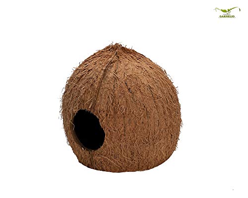 Natureholic Kokos höhle - 3/4 - für Terrarium & Aquarium - Ideal für Frösche von NatureHolic Terra