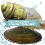 All Inklusive Power Teich Set für deinen Gartenteich/Natürliche Power I 10xTeichmuschel,10xSpitzschlamm und 10xSumpfdeckelschnecke von NatureHolic