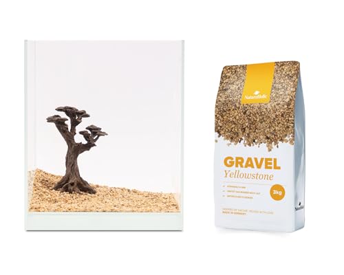 Aquarium Deko Set | Stone Bonsai Pico & Naturkies Yellowstone River 3 kg | Für Aquscape & Hardscape | Perfekt für Moos | Ideal für 10-20 L von NatureHolic