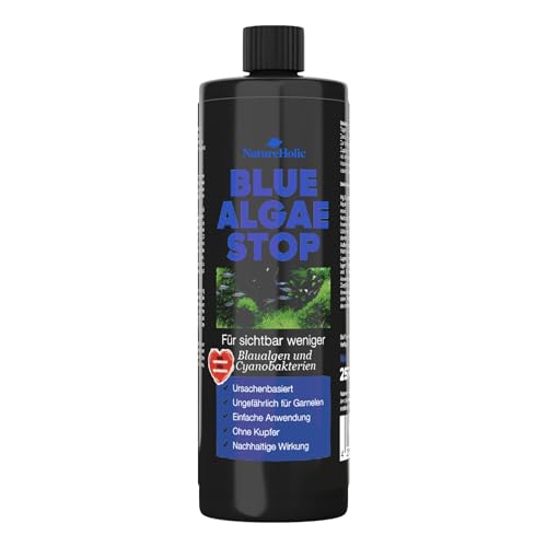 Blue Algae Stop | Aquarium Algen Entferner | Natürliche Algenbekämpfung und Pflanzenstärkung | Effektiv gegen Blaualgen, Schmieralgen, Schleimalgen | 250 ml von NatureHolic