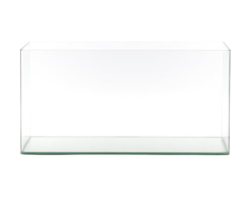 Curved Garden Tank Panorama | Kleines Aquarium aus Glas | Nano Glasbecken mit abgerundeten Ecken| Premium Aquascaping Aquarien | 41 Liter - 60x23x30cm von NatureHolic