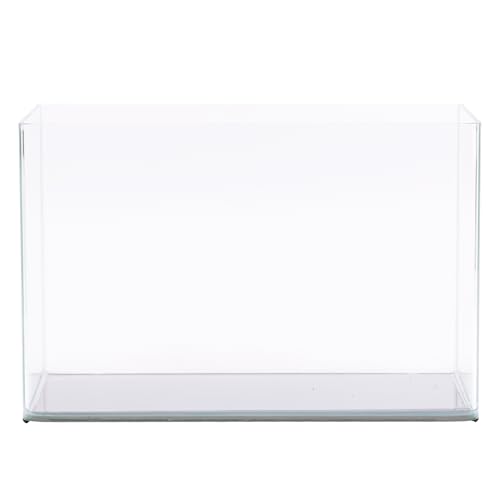 Curved Garden Tank Panorama | Kleines Aquarium aus Glas | Nano Glasbecken | Premium Aquascaping Aquarien | 15 Liter - 36x19x23cm von NatureHolic