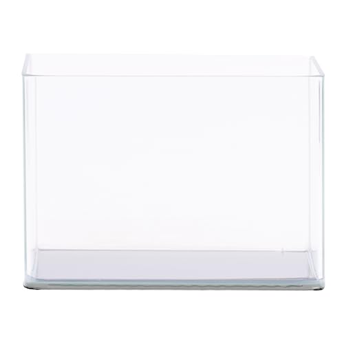 Garden Tank Panorama | Kleines Aquarium aus Glas | Premium Aquascaping Aquarien | 5 Liter - 20x15x16cm von NatureHolic