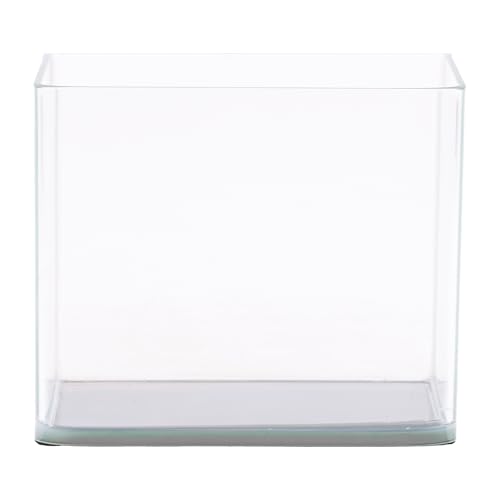 Curved Garden Tank Pico | Nano Aquarium aus Glas | Glasbecken | Premium Aquascaping Aquarien | 3 Liter - 18x13x15cm von NatureHolic