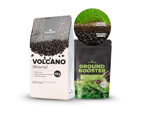 NatureHolic Bodengrund Struktur Set | Volcano Dark Mineral & GroundBooster | Für stabile Wasserwerte, gesunde Pflanzenwurzeln & aktives Bodenleben | Garnelengeeignet für Aquarien von 10-100+ L NatureHolic Bodengrund Struktur Set | Volcano Dark Mineral & GroundBooster | Für stabile Wasserwerte, gesunde Pflanzenwurzeln & aktives Bodenleben | Garnelengeeignet für Aquarien von 10-100+ L von NatureHolic