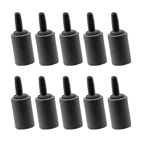 NatureHolic Bubble Stone | Ausströmerstein Sprudelstein Sauerstoffversorgung | Belüftung fürs Aquarium Luftstein | 10er Set NatureHolic Bubble Stone | Ausströmerstein Sprudelstein Sauerstoffversorgung | Belüftung fürs Aquarium Luftstein | 10er Set von NatureHolic