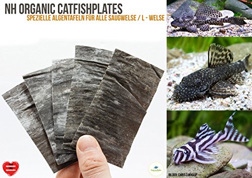 NatureHolic - CatfishPlates - Algentafeln (5 STK.) für alle Saugwelse/L - Welse von NatureHolic