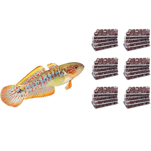 NatureHolic Frostfutter Mix Grundeln | 24 Blister á 100g | Artemia Cyclops Daphnien Copepoden Rote und Weiße Mückenlarven | Schockgefrostetes Naturfutter für Brachygobius Stiphodon NatureHolic Frostfutter Mix Grundeln | 24 Blister á 100g | Artemia Cyclops Daphnien Copepoden Rote und Weiße Mückenlarven | Schockgefrostetes Naturfutter für Brachygobius Stiphodon von NatureHolic