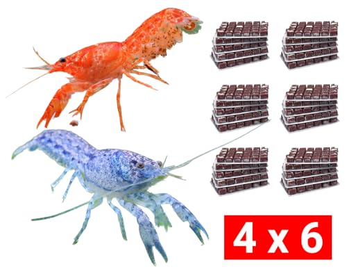 NatureHolic Frostfutter Mix für Zwergflusskrebse | 24 Blister á 100g | Artemia Copepoden mit Knoblauch Weiße und Rote Mückenlarven | Schonend gefrostet für gesunde Ernährung und leuchtende Farben von NatureHolic