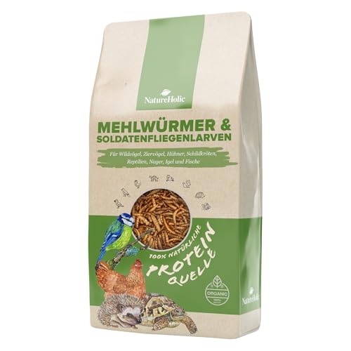 NatureHolic Insektenlarven Mix für Teichfische | Getrocknete Mehlwürmer & Soldatenfliegenlarven | Proteinreiches Naturfutter für Koi Goldfisch Igel Vogel Huhn Reptil von NatureHolic