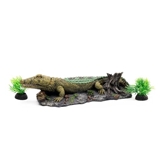 NatureHolic Krokodil Sprudelstein 20x10x7 cm | Aquarium Deko | Luftausströmer aus Kunstharz | Sauerstoffspender für Aquarien | Mit Dekopflanzen & Anschluss für Luftpumpe NatureHolic Krokodil Sprudelstein 20x10x7 cm | Aquarium Deko | Luftausströmer aus Kunstharz | Sauerstoffspender für Aquarien | Mit Dekopflanzen & Anschluss für Luftpumpe von NatureHolic