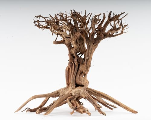 NatureHolic Mammut Bonsai | Echtholz Wurzel | Holz Aquarien Dekoration | Für Aquarium & Terrarium | Größe:L von NatureHolic
