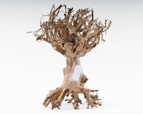 NatureHolic Mammut Bonsai | Echtholz Wurzel | Holz Aquarien Dekoration | Für Aquarium & Terrarium | Größe:M NatureHolic Mammut Bonsai | Echtholz Wurzel | Holz Aquarien Dekoration | Für Aquarium & Terrarium | Größe:M von NatureHolic