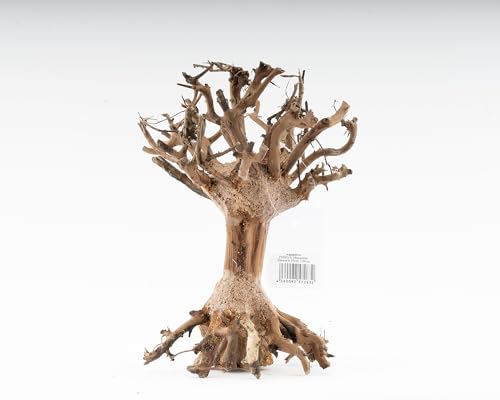 NatureHolic Mammut Bonsai | Echtholz Wurzel | Holz Aquarien Dekoration | Für Aquarium & Terrarium | Größe:S NatureHolic Mammut Bonsai | Echtholz Wurzel | Holz Aquarien Dekoration | Für Aquarium & Terrarium | Größe:S von NatureHolic