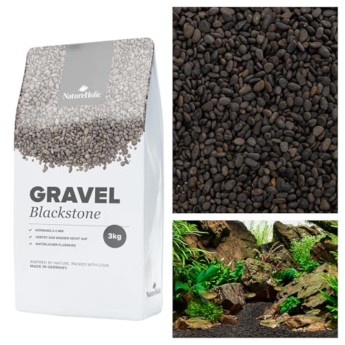 NatureHolic Naturkies Blackstone River | Schwarzer Aquarium Kies | Natürlicher Flusskies für Aquarien mit feiner Körnung 2-5 mm | Perfekt für Naturaquarien, Bodengrund & Deko | 3kg von NatureHolic