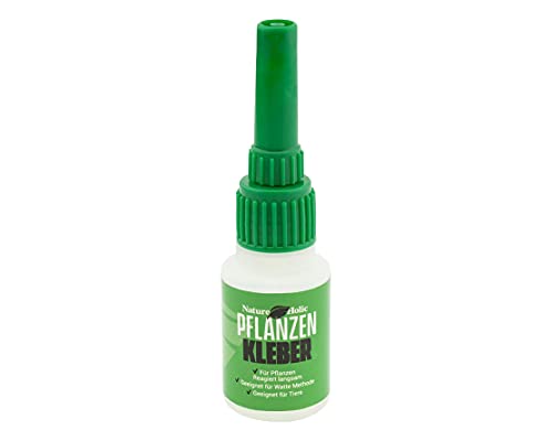 NatureHolic - Pflanzenkleber I garantiert ungiftig I perfekt für Aufsitzerpflanzen I reagiert langsam I Geeignet für Watte-Methode I unbedenklich für alle Aquarientiere I 20g von NatureHolic